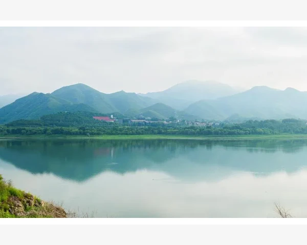脸上长斑，如何通过调理背部穴位恢复肌肤美丽光彩