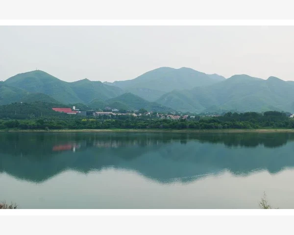 清肺喝什么好？探索平价短袖中的中医科普！